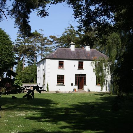 Oldfarm Villa Nenagh Bagian luar foto
