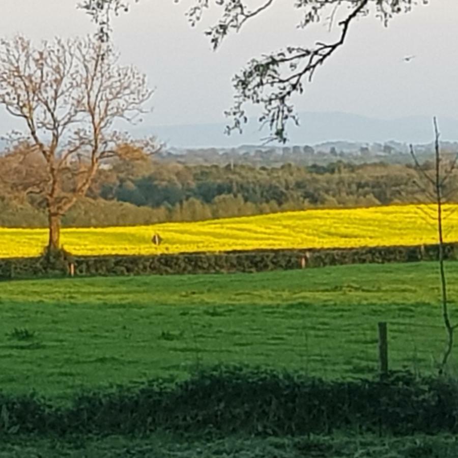 Oldfarm Villa Nenagh Bagian luar foto